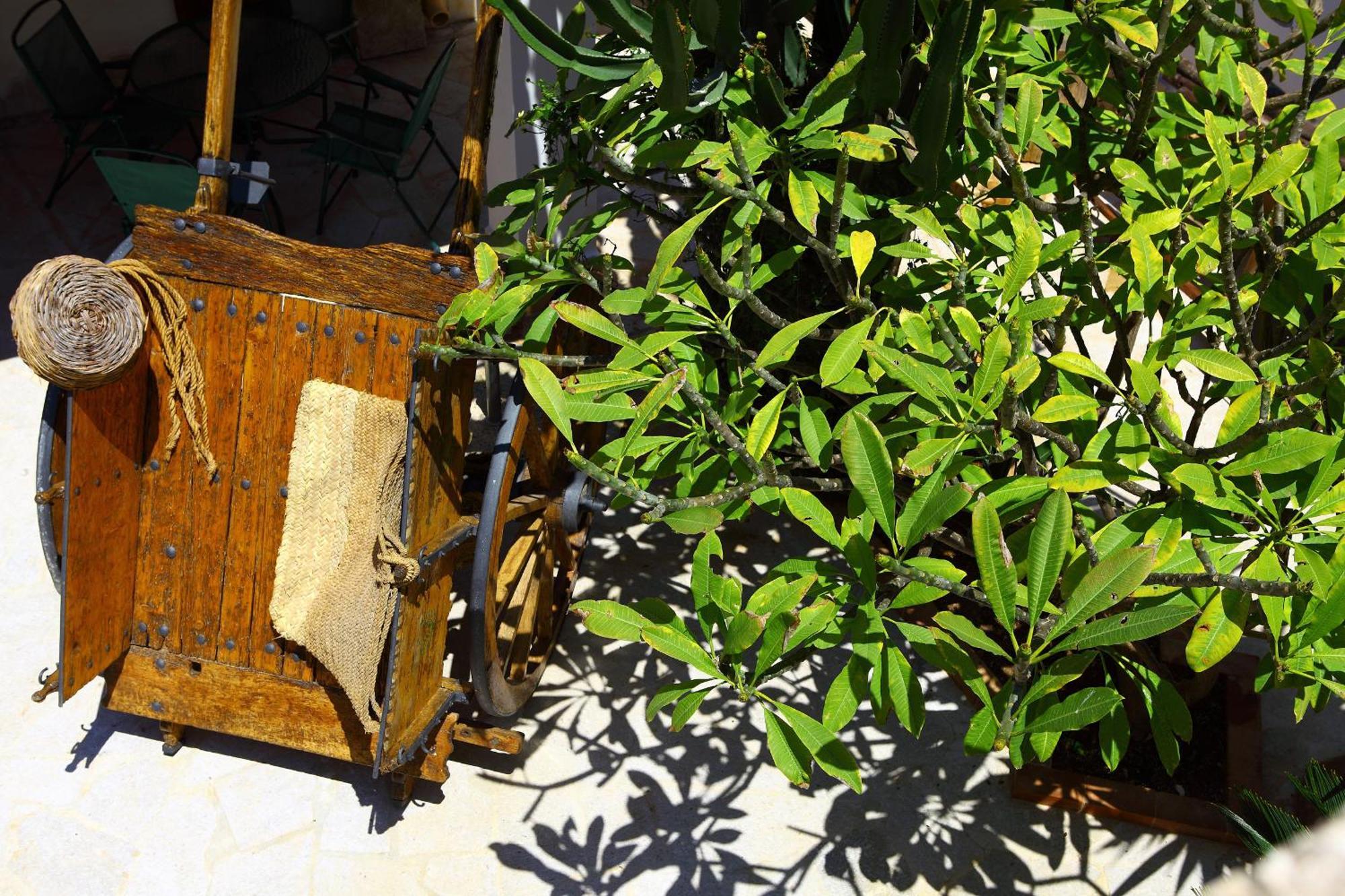 B&B Sabir San Vito Lo Capo Buitenkant foto